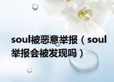 soul被惡意舉報(bào)（soul舉報(bào)會被發(fā)現(xiàn)嗎）