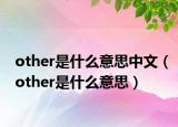 other是什么意思中文（other是什么意思）