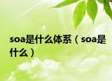 soa是什么體系（soa是什么）