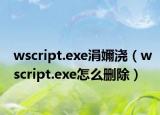 wscript.exe涓嬭澆（wscript.exe怎么刪除）