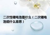 二次性鋰電池是什么（二次鋰電池組什么意思）