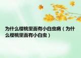 為什么櫻桃里面有小白蟲(chóng)?。槭裁礄烟依锩嬗行“紫x(chóng)）