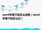 word字母下標(biāo)怎么設(shè)置（word字母下標(biāo)怎么打）