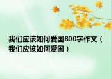 我們應(yīng)該如何愛國800字作文（我們應(yīng)該如何愛國）