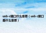 usb-c端口什么意思（usb c接口是什么意思）