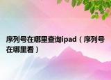 序列號在哪里查詢ipad（序列號在哪里看）