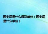 國安局是什么級別單位（國安局是什么單位）