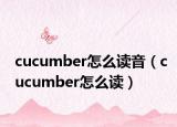 cucumber怎么讀音（cucumber怎么讀）