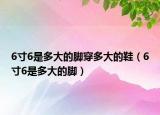 6寸6是多大的腳穿多大的鞋（6寸6是多大的腳）