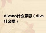 divano什么意思（diva什么梗）