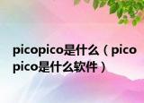 picopico是什么（picopico是什么軟件）