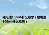 鋰電池100wh什么意思（鋰電池100wh什么意思）