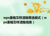 wps表格怎樣清除篩選模式（wps表格怎樣清除線條）