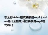 怎么將video格式轉(zhuǎn)換成mp4（video是什么格式,可以轉(zhuǎn)換成mp4格式嗎?）
