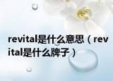 revital是什么意思（revital是什么牌子）