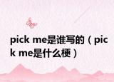 pick me是誰寫的（pick me是什么梗）