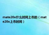 mate20x什么時間上市的（mate20x上市時間）