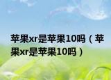 蘋果xr是蘋果10嗎（蘋果xr是蘋果10嗎）
