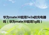 華為mate30能用5v2a的充電器嗎（華為mate30能用5g嗎）