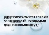 英特爾SSDSC2CW120A3 120 GBSSD希捷梭魚1TB  7200轉64MB單碟ST1000DM003哪個好