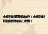 小度智能屏錄像儲存（小度智能抓拍視頻儲存在哪里）