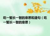 吃一塹長一智的意思和造句（吃一塹長一智的意思）