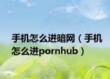 手機(jī)怎么進(jìn)暗網(wǎng)（手機(jī)怎么進(jìn)pornhub）