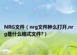 NRG文件（nrg文件腫么打開,nrg是什么格式文件?）