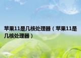 蘋果11是幾核處理器（蘋果11是幾核處理器）