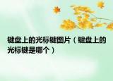 鍵盤(pán)上的光標(biāo)鍵圖片（鍵盤(pán)上的光標(biāo)鍵是哪個(gè)）