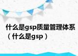 什么是gsp質(zhì)量管理體系（什么是gsp）