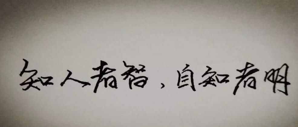 寓言故事《烏龜和老鷹》，在風(fēng)口的豬，等風(fēng)停了就是死