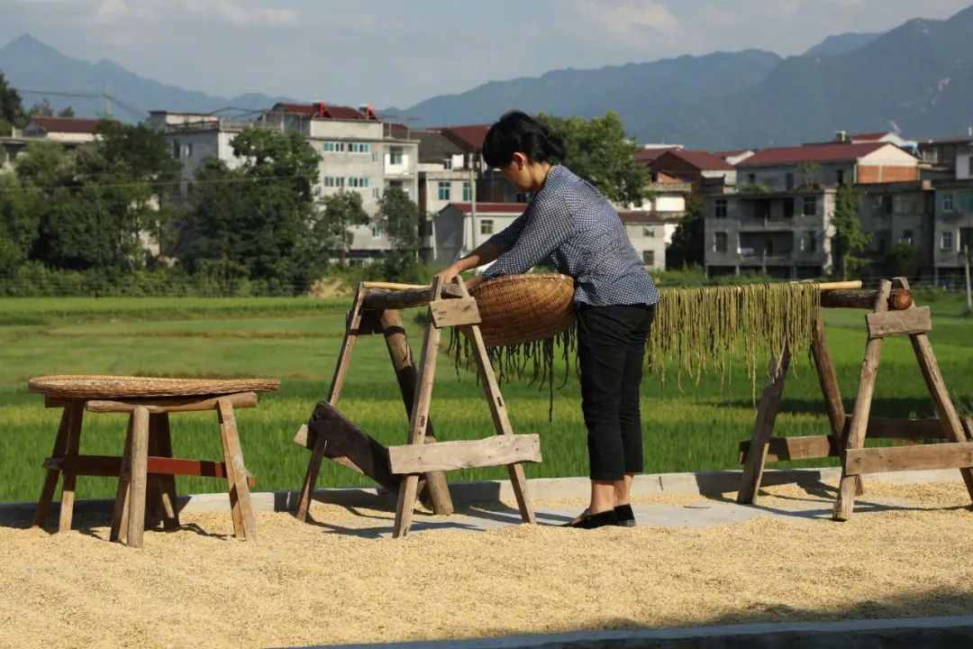 二十四節(jié)氣食俗大全！今日驚蟄宜吃它