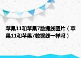蘋果11和蘋果7數(shù)據(jù)線圖片（蘋果11和蘋果7數(shù)據(jù)線一樣嗎）