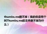thumbs.ms刪不掉（我的優(yōu)盤有個(gè)叫Thumbs,ms的文件刪不掉為什么）