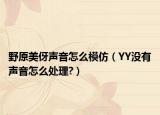 野原美伢聲音怎么模仿（YY沒有聲音怎么處理?）