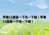 蘋果11屏幕一下亮一下暗（蘋果11屏幕一下亮一下暗）