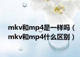 mkv和mp4是一樣嗎（mkv和mp4什么區(qū)別）