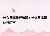 什么是海量存儲器（什么是海量存儲技術(shù)）