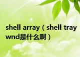 shell array（shell traywnd是什么?。? /></span></a>
                        <h2><a href=