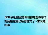 DNF頭銜皇室尊稱和御龍至尊哪個好我是魔道已經(jīng)有御龍了~求大神指點