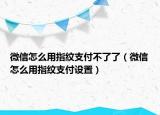 微信怎么用指紋支付不了了（微信怎么用指紋支付設(shè)置）