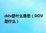 ddv是什么意思（DDV是什么）