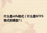 什么是ntfs格式（什么是NTFS格式的硬盤?）
