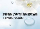 形容看見(jiàn)了裝作沒(méi)看見(jiàn)的歇后語(yǔ)（xr卡機(jī)了怎么弄）
