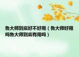魯大師到底好不好用（魯大師好用嗎魯大師到底有用嗎）