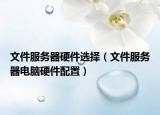 文件服務(wù)器硬件選擇（文件服務(wù)器電腦硬件配置）