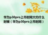 華為p30pro上市時間大約什么時候（華為p30pro上市時間）