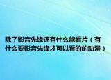 除了影音先鋒還有什么能看片（有什么要影音先鋒才可以看的的動(dòng)漫）