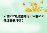 xr的a12處理器如何（xr的a12處理器是幾核）